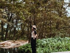 -楠溪江风景名胜区