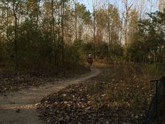 溱湖国家湿地公园-溱湖国家湿地公园