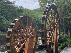 -广州白江湖森林公园