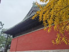 -大觉寺-停车场