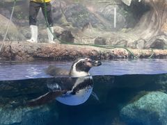 -福州罗源湾海洋世界旅游区