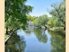 -上海共青森林公园