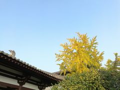 -西安青龙寺遗址景区
