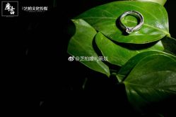-保定金沙芝柏婚礼策划