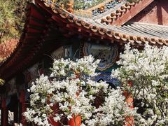 -碑林公园
