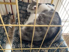 -青春加萌照相馆