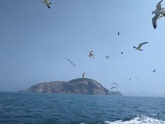 -海驴岛(荣成市)