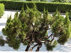 -上海市浦东新区浦东殡仪馆