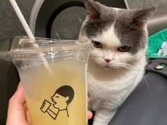 -喜茶(深圳喜荟城店)