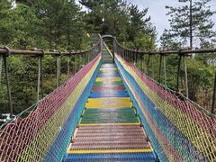 -玉苍山国家森林公园