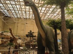 -国家自然博物馆