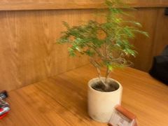 -CURRY YA 熟成咖哩專門店(深圳湾万象城店)