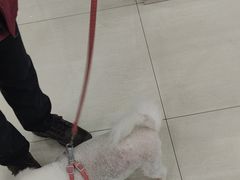 -天宠宠物医院24小时·急重症诊疗中心·全科·腔镜特色(和平分院)