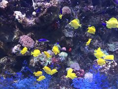 -厦门海底世界