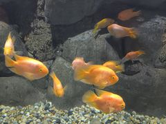 -苏州海洋馆