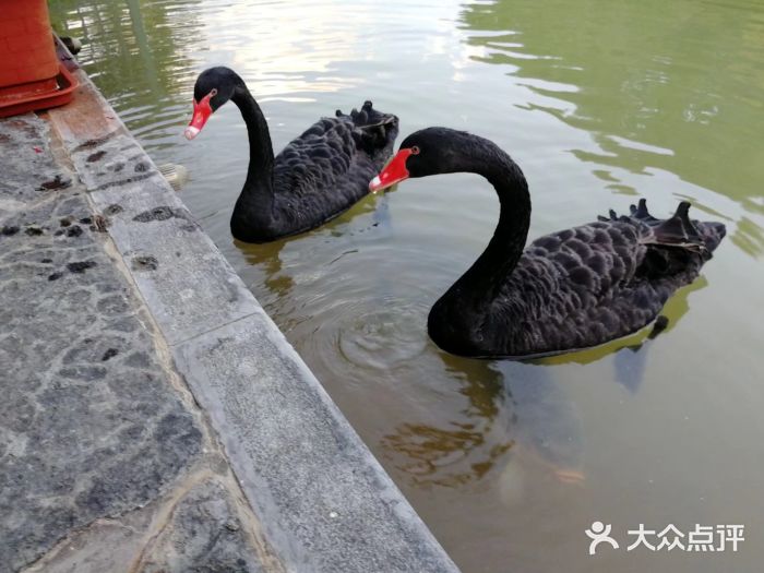 湖泉半山温泉(湖泉生态园)图片