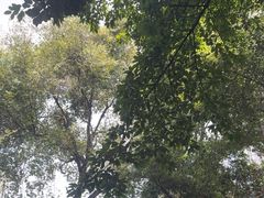 -大妙火锅·非物质文化遗产(东湖公园店)