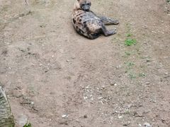 -宁波野生动物园