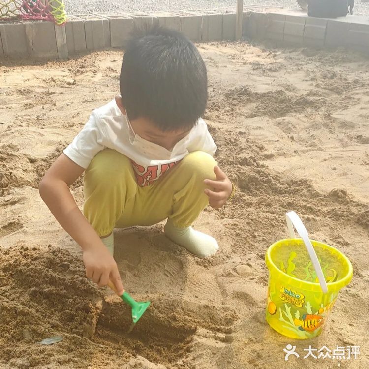 宝宝亲自挖出来的化石公园！