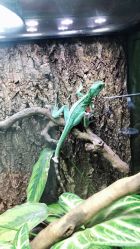 -酷嗒动物文化乐园(cutezoo西溪乐天城店)