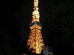 -东京塔海贼王主题公园
