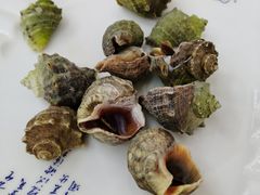 -北戴河庆山饭店·海鲜砂锅粥(北戴河黑石路店)