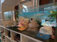 -童趣廊·儿童波波池·海洋球(长隆横琴湾酒店)