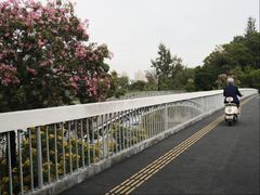 -华侨城湿地公园