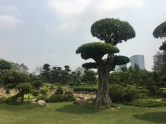 -南宁南湖公园