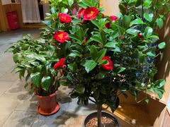 -渝信川菜(长安店)