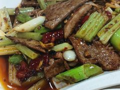 -天一沾水肥肠(科园一街店)