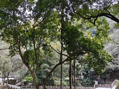 -飞霞风景名胜区