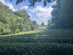 -敬亭山风景名胜区