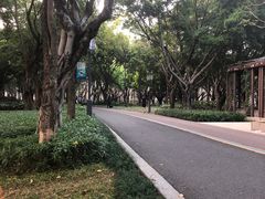 -顺峰山公园