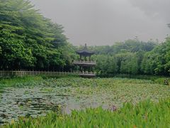 -福神岗公园