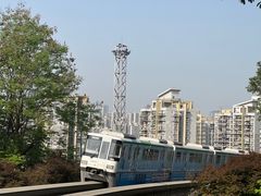 -南山植物园