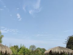 -武汉紫薇都市田园