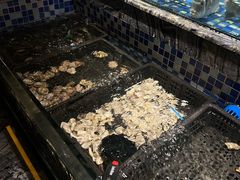 -喜庭海鲜自助(北辰三角洲北辰荟店)