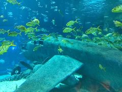 -福州罗源湾海洋世界旅游区