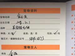 -艾贝尔宠物诊疗