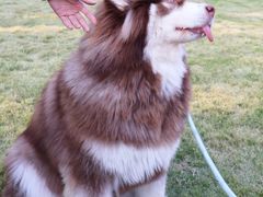 -上海神旺大酒店