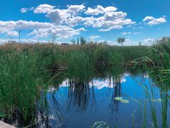 -敕勒川草原文化旅游区
