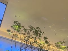 -桂满陇(虹桥天地店)