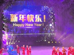 -广州长隆国际大马戏
