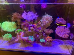 -Rabbit Cafe私房西餐甜点咖啡(栖霞路店)