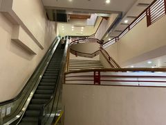 -香港大学