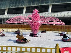-沈阳奥体冰雪嘉年华
