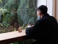 -知亘茶食