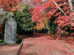 -松岛