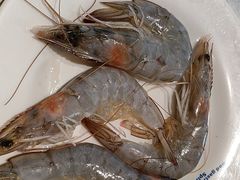 -星伦多自助料理·涮烤一体(奉贤龙湖天街店)